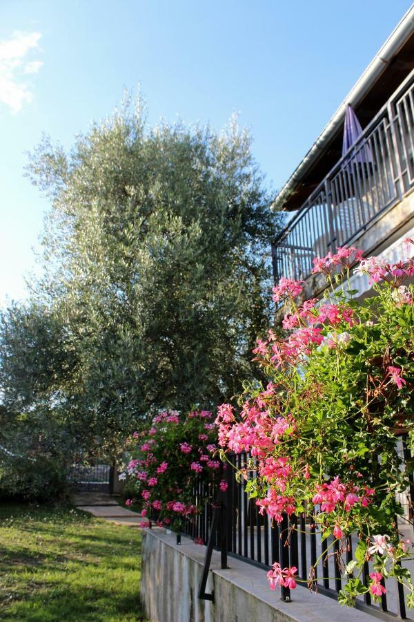 Turkovic Apartments Zgaljic エクステリア 写真