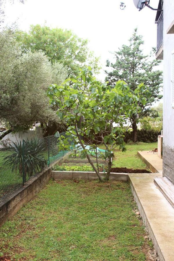 Turkovic Apartments Zgaljic エクステリア 写真