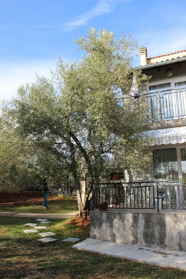 Turkovic Apartments Zgaljic エクステリア 写真